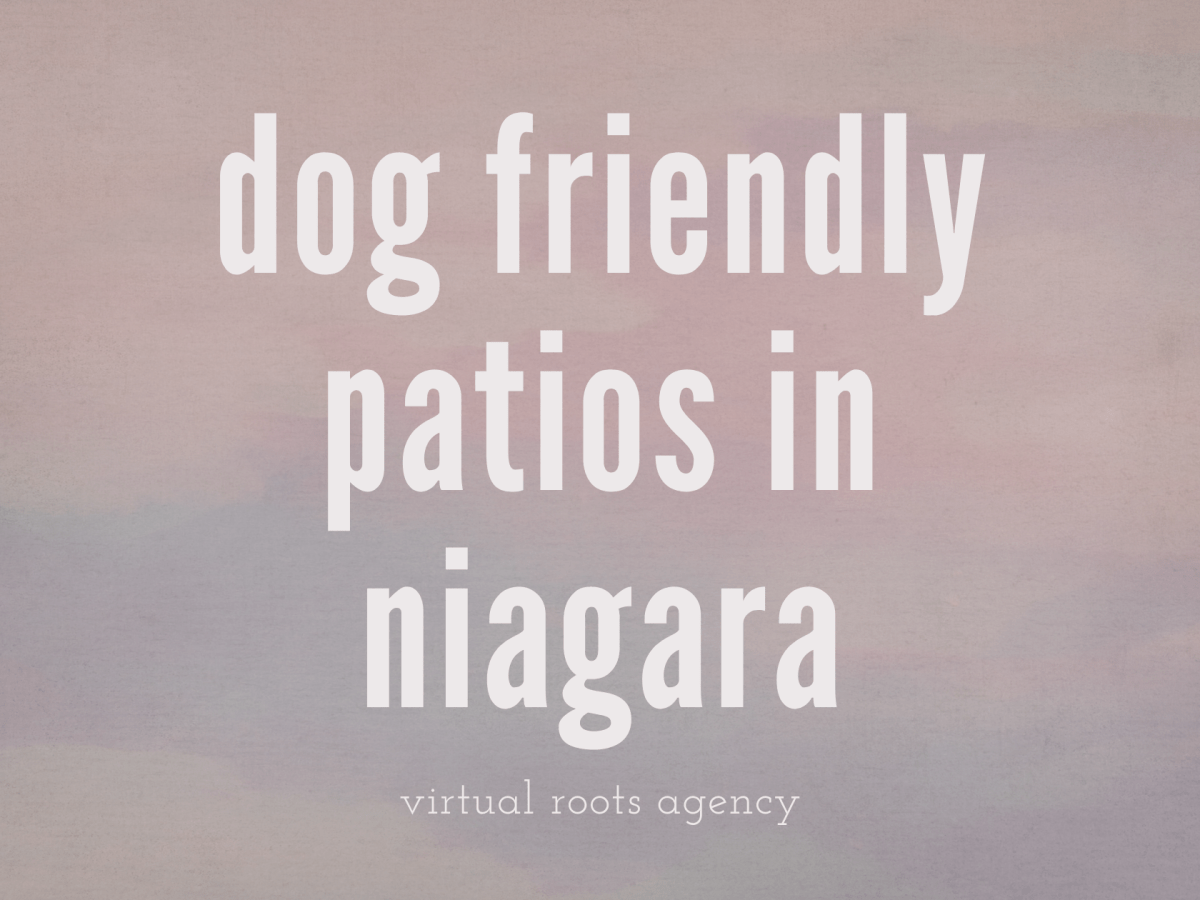Discover the Best Dog-Friendly Patios in Niagara for You and Your&nbsp;Pup