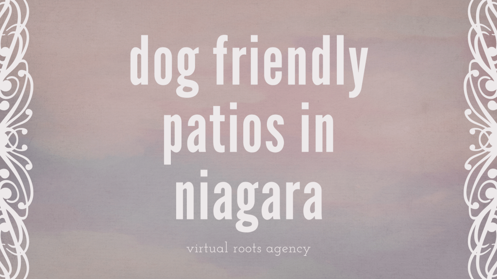 Discover the Best Dog-Friendly Patios in Niagara for You and Your&nbsp;Pup